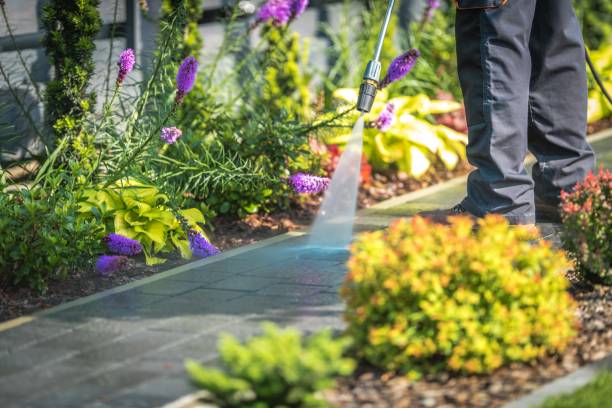 Reliable New Llano, LA Pressure Washing Solutions